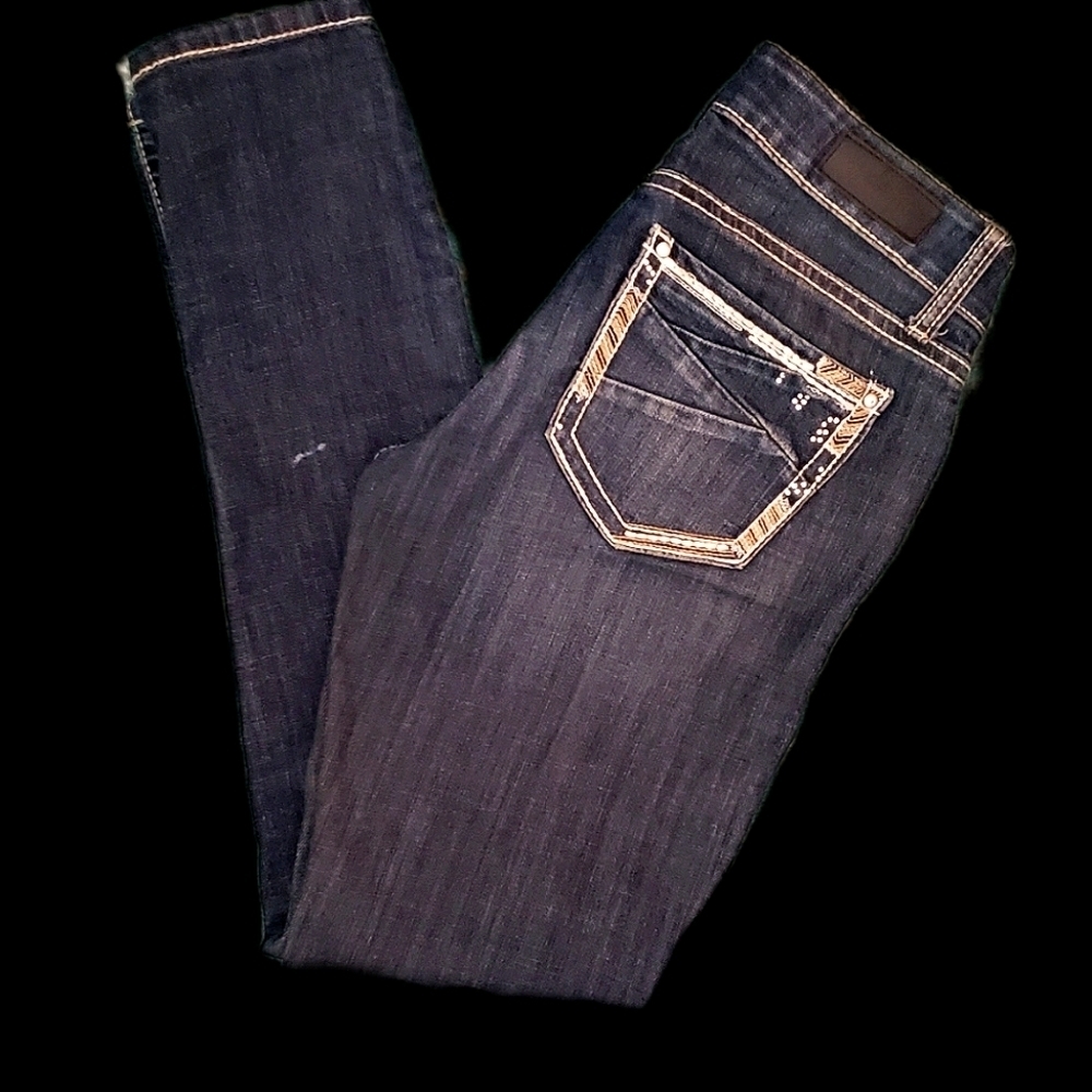 (J-14)Daytrip Jeans, Lynx Skinny, Size 26